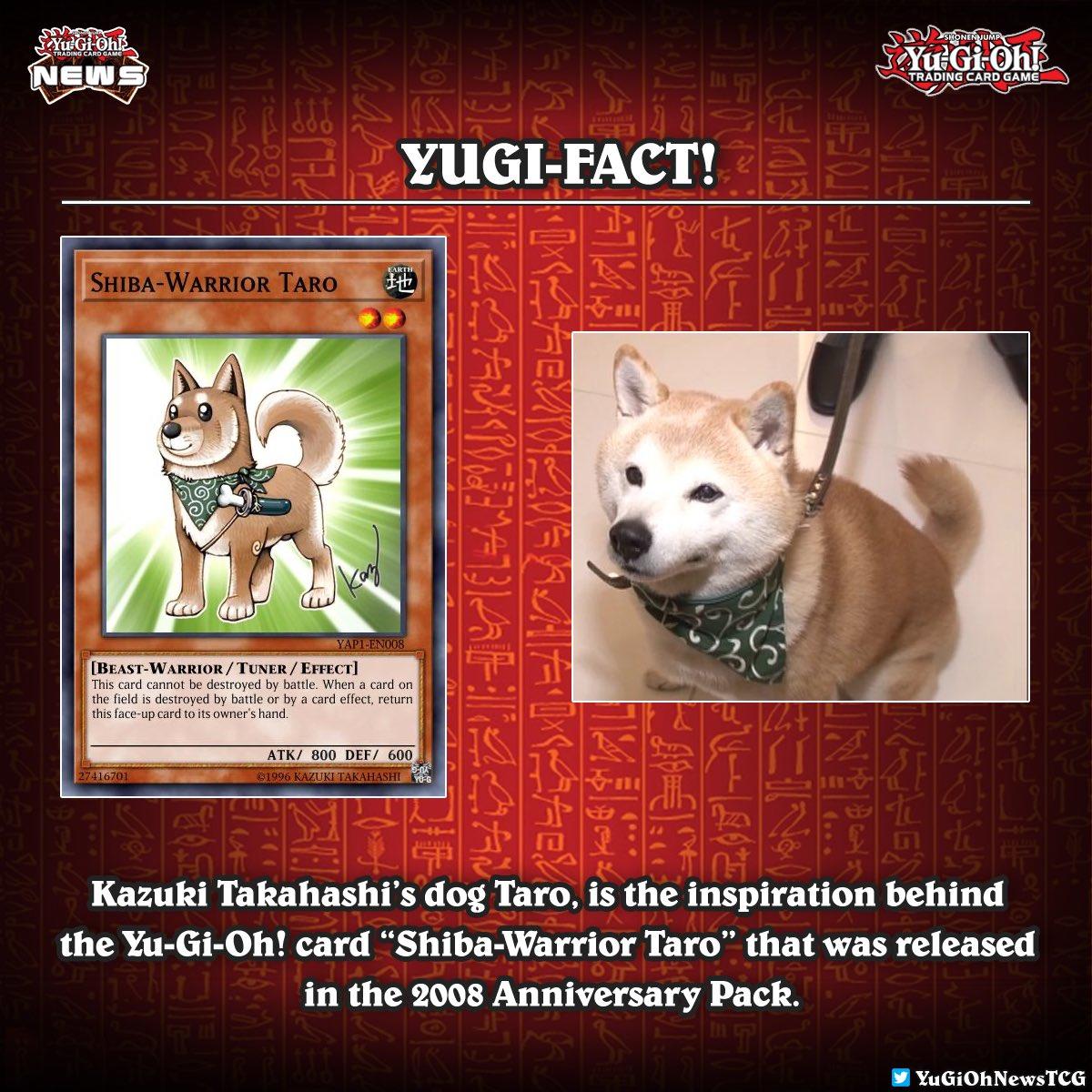 shiba yugioh card Yu-Gi-Oh! - Shiba-Warrior Taro (YAP1-EN008) - Paquete de aniversario - Edicin limitada Shiba Warrior Taro Yu-Gi-Oh Yugioh