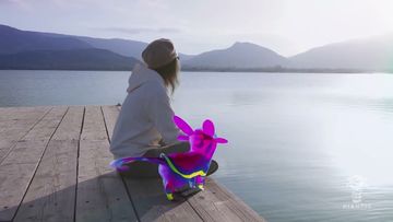 Pokémon Go Developer Niantic Announces a New Pet Game, Peridot