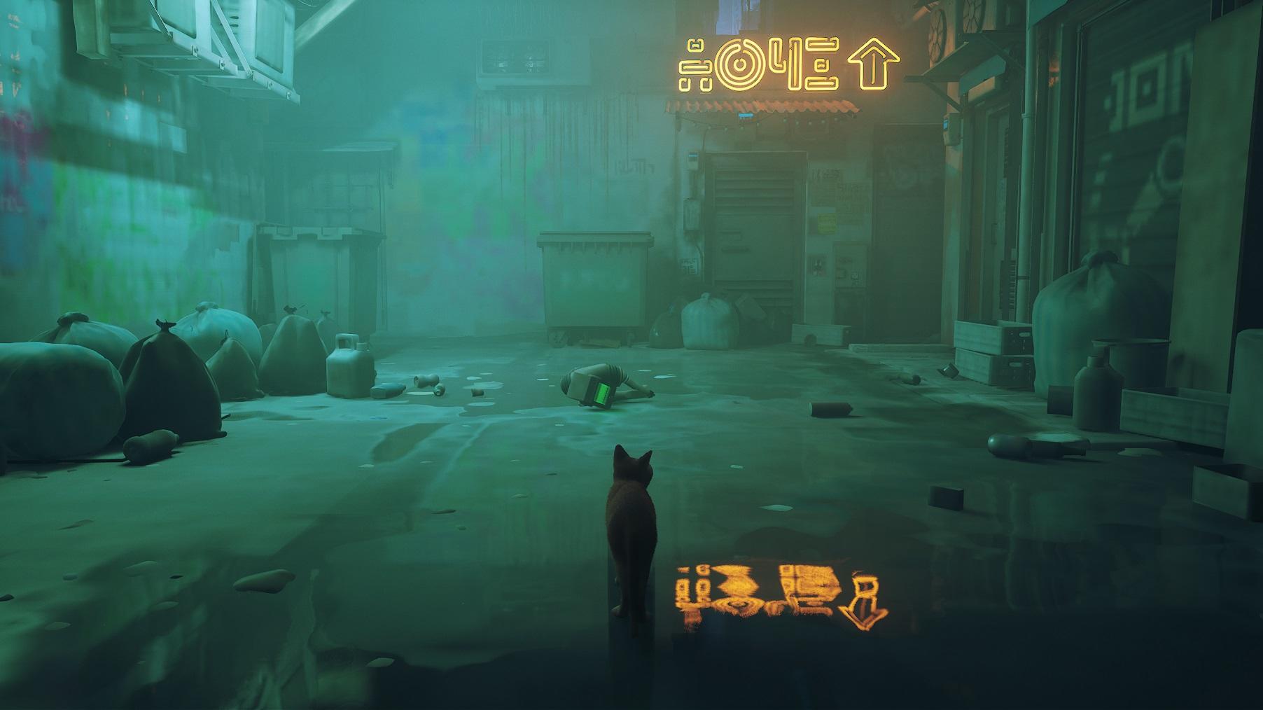 The New PlayStation 5 Game 'Stray' Lets You Be A Mystery Solving Cat In A  Neon-Lit Cyberpunk City