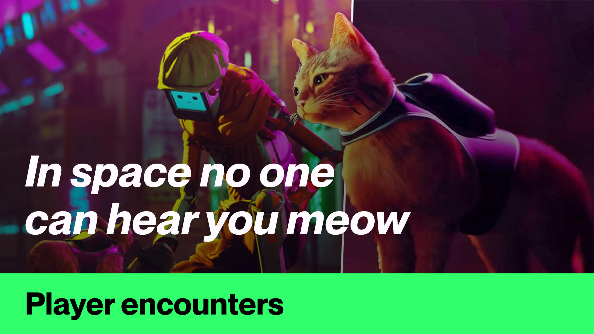 In space, no one can hear you meow #PlayerEncounters