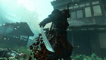 A random shot in Ghost of Tsushima