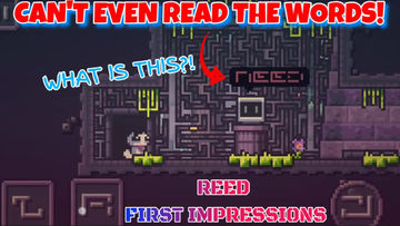 Reed (free) First Impressions