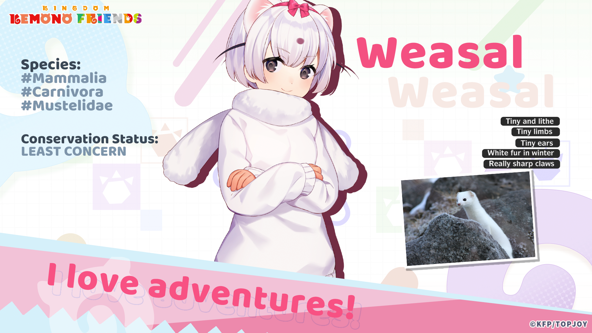 𝐄𝐧𝐜𝐨𝐮𝐧𝐭𝐞𝐫 𝐀 𝐍𝐞𝐰 𝐅𝐫𝐢𝐞𝐧𝐝 𝐓𝐨𝐝𝐚𝐲: Weasal
