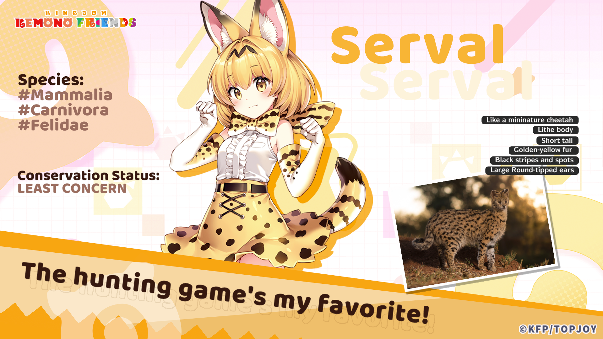 𝐄𝐧𝐜𝐨𝐮𝐧𝐭𝐞𝐫 𝐀 𝐍𝐞𝐰 𝐅𝐫𝐢𝐞𝐧𝐝 𝐓𝐨𝐝𝐚𝐲: Serval