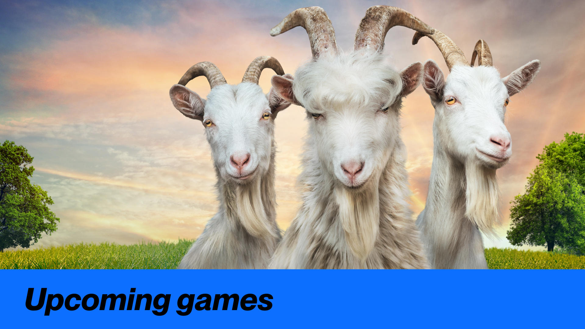Baaaa...