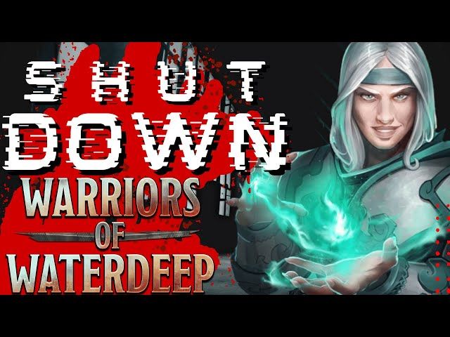 Warriors of Waterdeep Dungeons and Dragons SHUTS DOWN