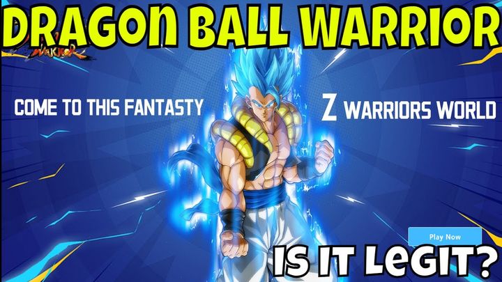 Dragon Ball Warrior - Hype Impressions/Is It Legit