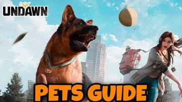UNDAWN PETS GUIDE - How to get a pet in Undawn