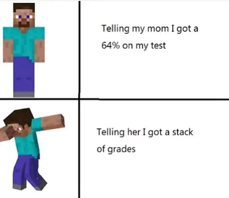 Minecraft Memes #24