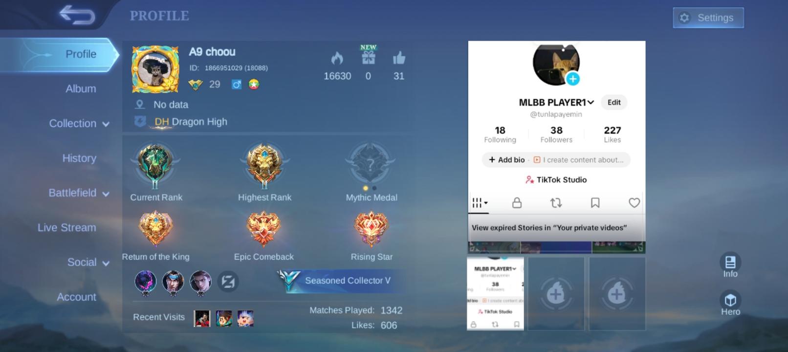 I love Mobile Legends 