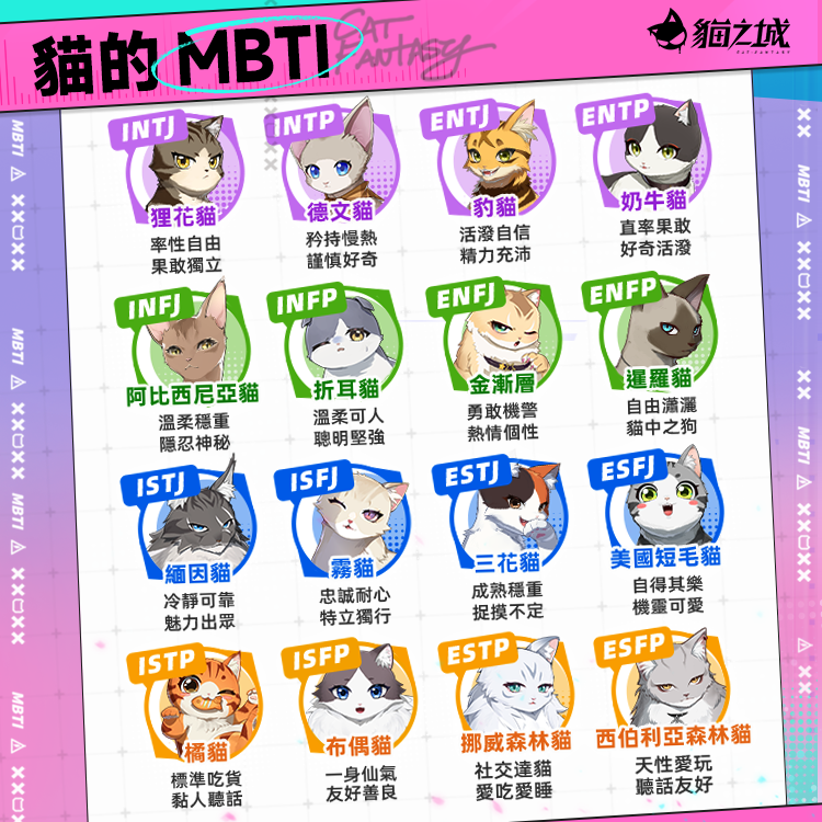 【貓咪也有MBTI？】你的MBTI對應那種貓咪呢？