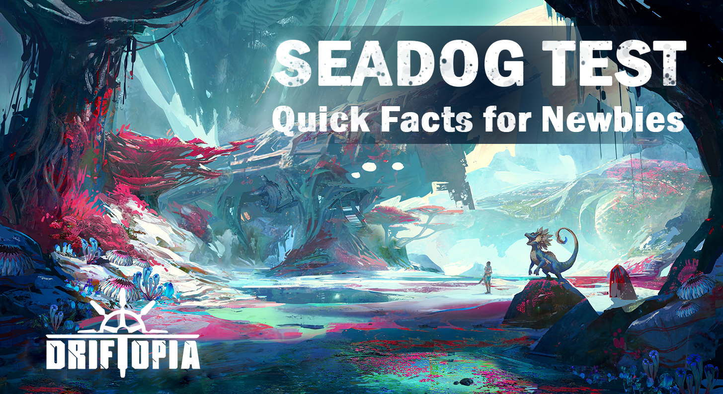 SEADOG TEST BEGINNER'S GLANCE!