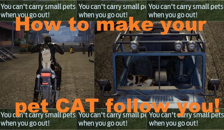 Undawn: How to make your pet CAT follow
