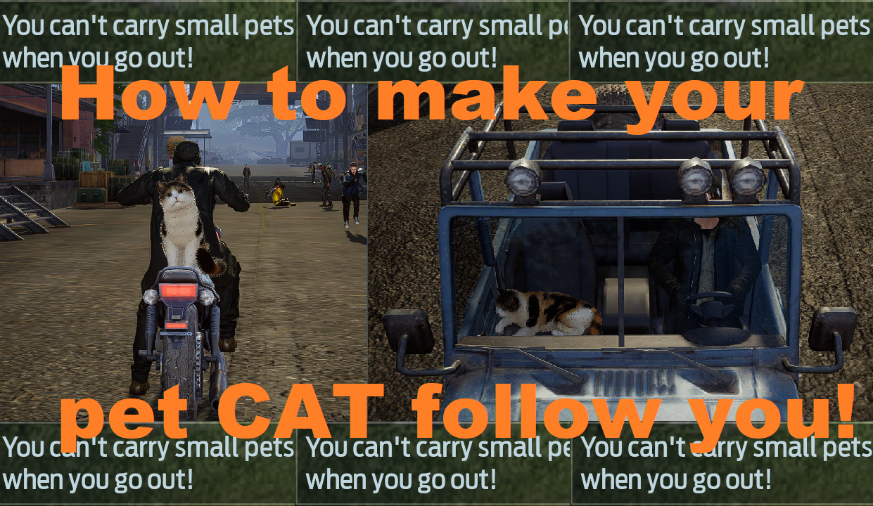 Undawn: How to make your pet CAT follow