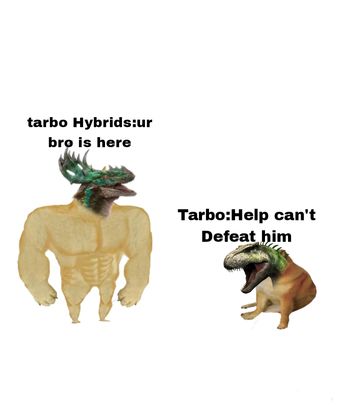 jwa Memes I created