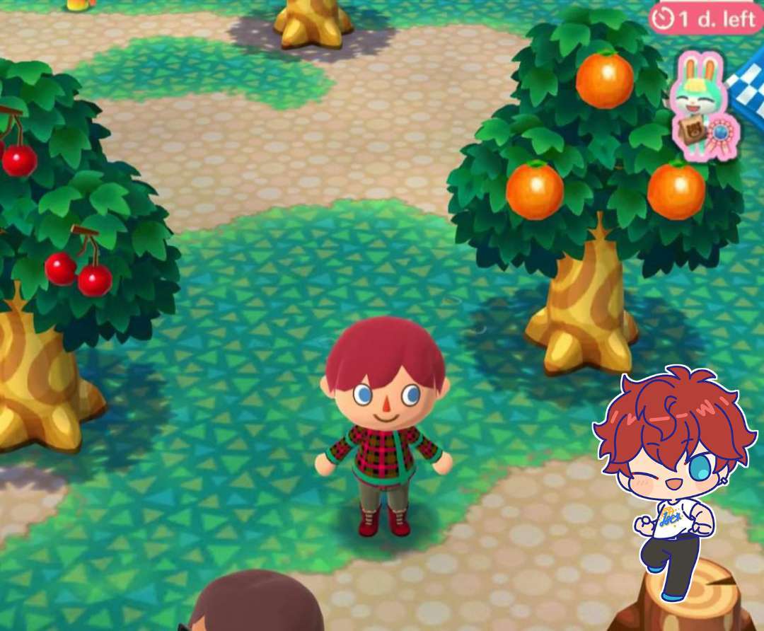 ✿Hiiro in Animal Crossing Pocket Camp! l⛺✿       (❁´◡`❁)