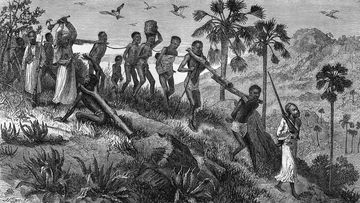 Will this game be The GENSHIN IMPACT of Africans?