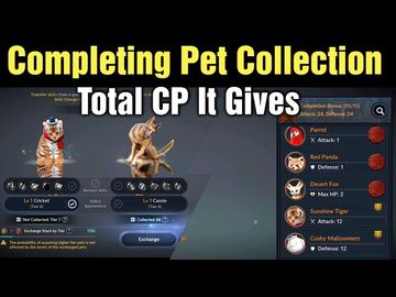 Black Desert Mobile Completing Pet Collection & Total CP You Get