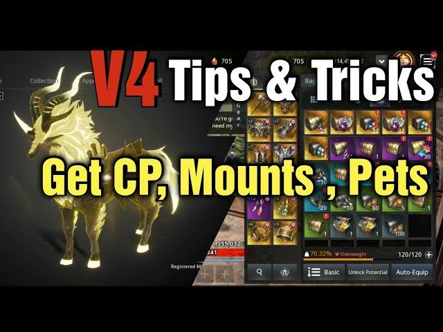 V4 Tips & Tricks : Best Way To Farm , Mounts, Pets & More