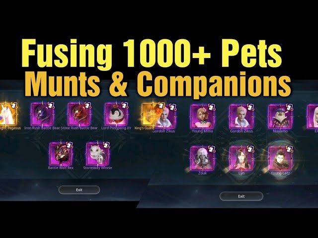 V4 Fusing 1000+ Mounts, Pets & Companions For Higher Tier