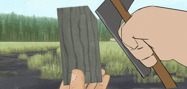 Pine: A Story of Loss A Heartfelt Journey Through Grief